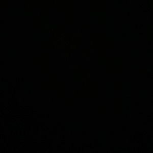 Meet your Posher, Zoe